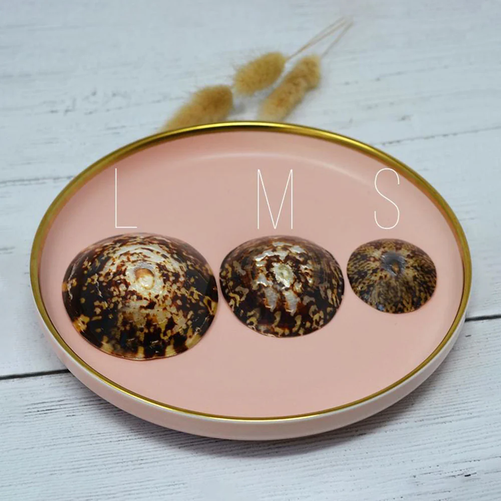 Paire de coquillages d’allaitement - Image 3